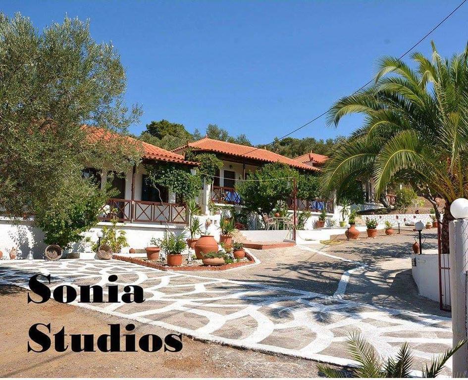 Sonia Studios Nees Kidonies Phòng bức ảnh