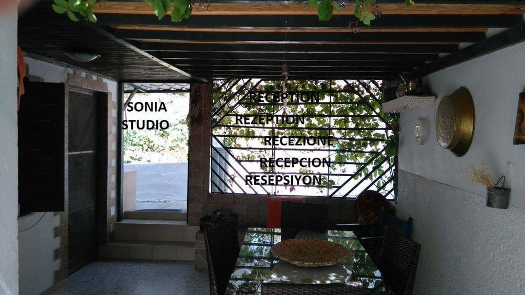 Sonia Studios Nees Kidonies Ngoại thất bức ảnh